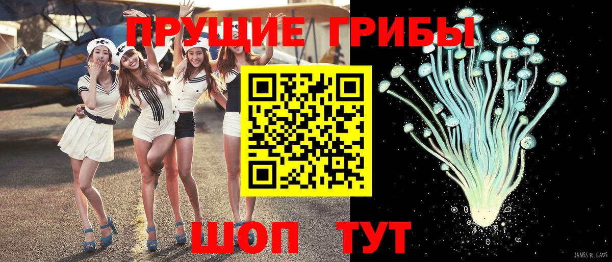 наркота  Вход с VPN  Видное  Псилоцибиновые грибы MAGIC MUSHROOMS 
